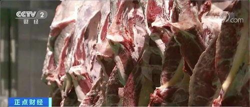 国产牛肉盗摄在线