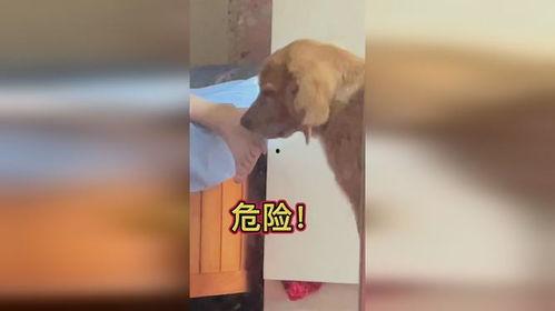 臭jio在线视频国产,臭jio在线视频引领国产潮流