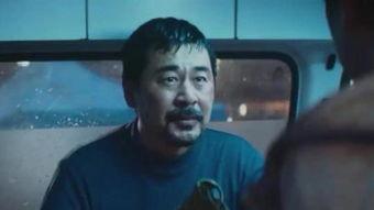 国产老片熊猫在线观看,国宝熊猫的传奇故事